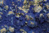 Vivid-Blue Azurite Encrusted Quartz Crystals - China #213833-2